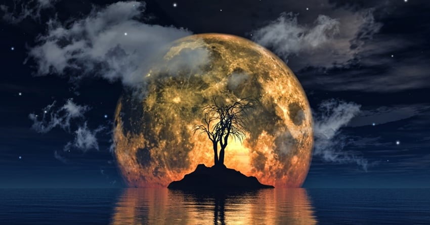 361b023f-0905-4b9e-82c9-a852f2556b2a