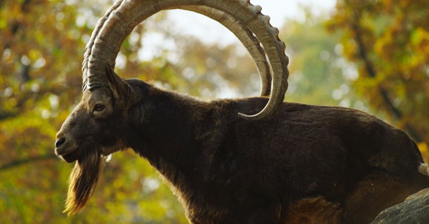 sve24 - 2025-11-04T235718.630